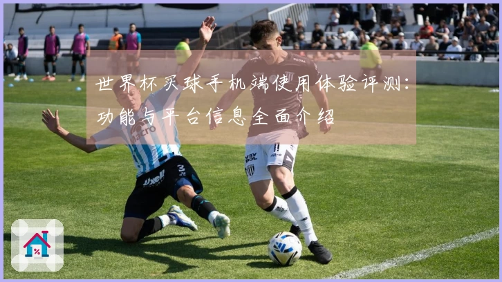 世界杯买球手机端使用体验评测：功能与平台信息全面介绍