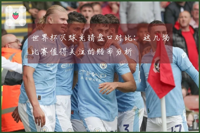 世界杯买球竞猜盘口对比:这几场比赛值得关注的赔率分析