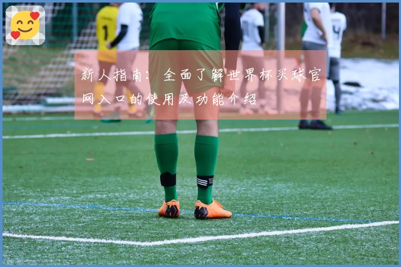 新人指南：全面了解世界杯买球官网入口的使用及功能介绍