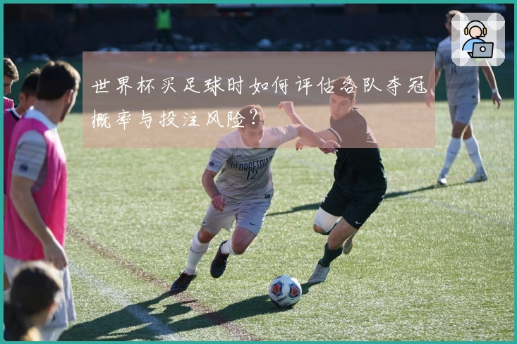 世界杯买足球时如何评估各队夺冠概率与投注风险？