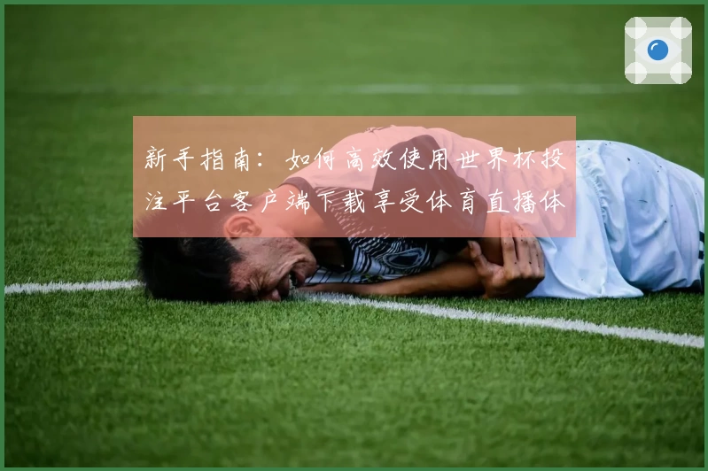 新手指南：如何高效使用世界杯投注平台客户端下载享受体育直播体验
