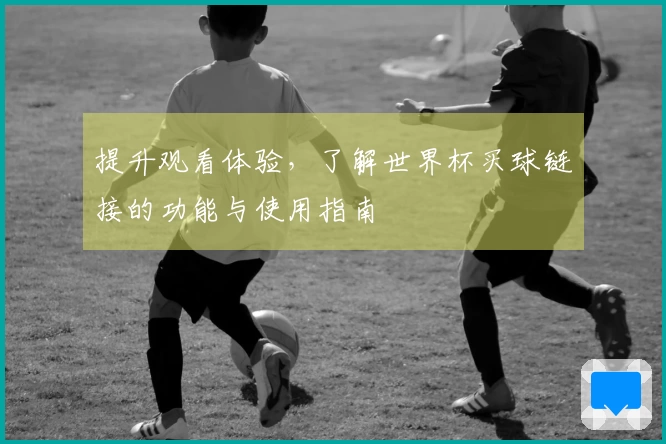 提升观看体验，了解世界杯买球链接的功能与使用指南