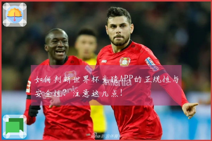如何判断世界杯竞猜APP的正规性与安全性？注意这几点！