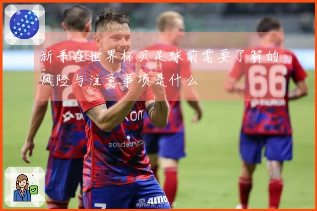 新手在世界杯买足球前需要了解的风险与注意事项是什么