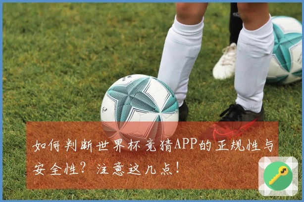 如何判断世界杯竞猜APP的正规性与安全性？注意这几点！