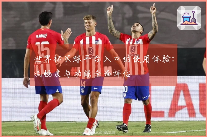 世界杯买球平台入口的使用体验：流畅度与功能全面评估
