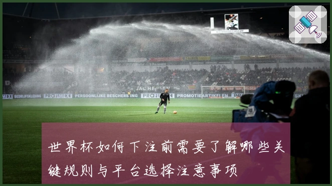 世界杯如何下注前需要了解哪些关键规则与平台选择注意事项